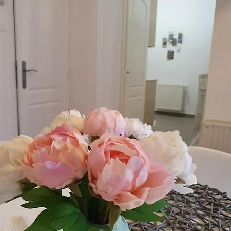 Andrea Belvarosaban Apartment