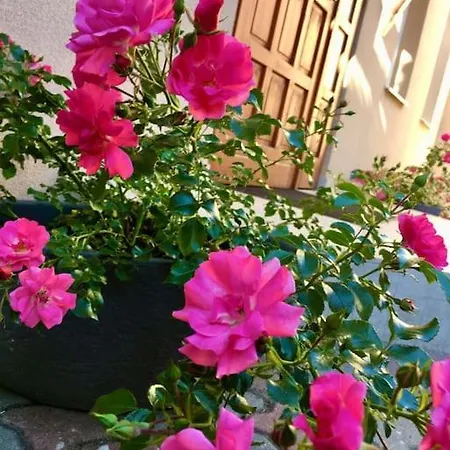 Apartment Andrea Belvarosaban