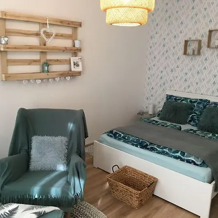 Andrea Belvarosaban * Miskolc