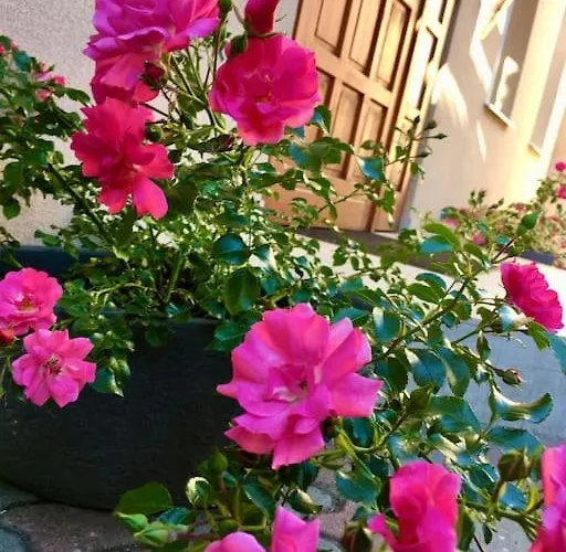 Apartament Andrea Belvarosaban